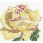 Thea Gouverneur 3076  Rose  détaillé