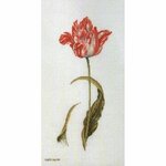Thea Gouverneur 2039  kit point de croix  détaillé Tulipes