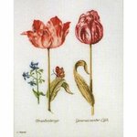 Thea Gouverneur 2039  kit point de croix compté  Tulipes