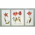 Thea Gouverneur 2039  kit point de croix  Tulipes