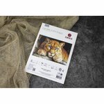 Luca-S BU5081  kit de broderie  esprit sauvage