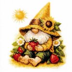 Aine A1043  Kit point de croix  Sunshine Gnome