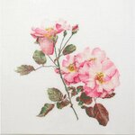 Thea Gouverneur 412  kit point croix  Rosa leersum