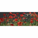 Thea Gouverneur 546-05  kit de broderie  Coquelicots