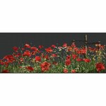 Thea Gouverneur 546-05  kit point croix  Coquelicots