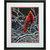 Ice Cardinal - Dimensions 70-35292 - Kit broderie point de croix
