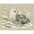 Riolis 1241  Chouette Harfang des neige  kit point de croix compté  1