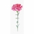 Thea Gouverneur 467  kit point croix  Œillet rose  1