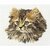 Thea Gouverneur 930  kit point croix  Chat marron  3