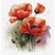 Luca-S B7024  kit point croix  Les fleurs de coquelicot