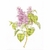 Thea Gouverneur 588  kit point croix  Lilas