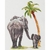 Dutch Stitch Brothers  DSB005  kit point croix  Safari éléphants
