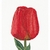 Thea Gouverneur 521  kit point de croix compté  Tulipe rouge