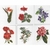 Thea Gouverneur 3081  kit point de croix  Six études florales