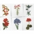 Thea Gouverneur 3082  kit point de croix  six études floral  1
