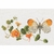 Thea Gouverneur 437  kit point de croix compté  Papillon nasturtium