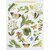 Thea Gouverneur 587  kit point croix compté  Chenilles  Papillons