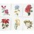 Thea Gouverneur 3087  kit point croix  Six études Florales