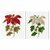 Thea Gouverneur 604  kit point croix  Poinsettia