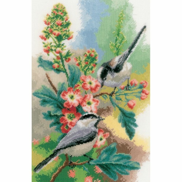 Une mésange bleue niche en direct à Kercado