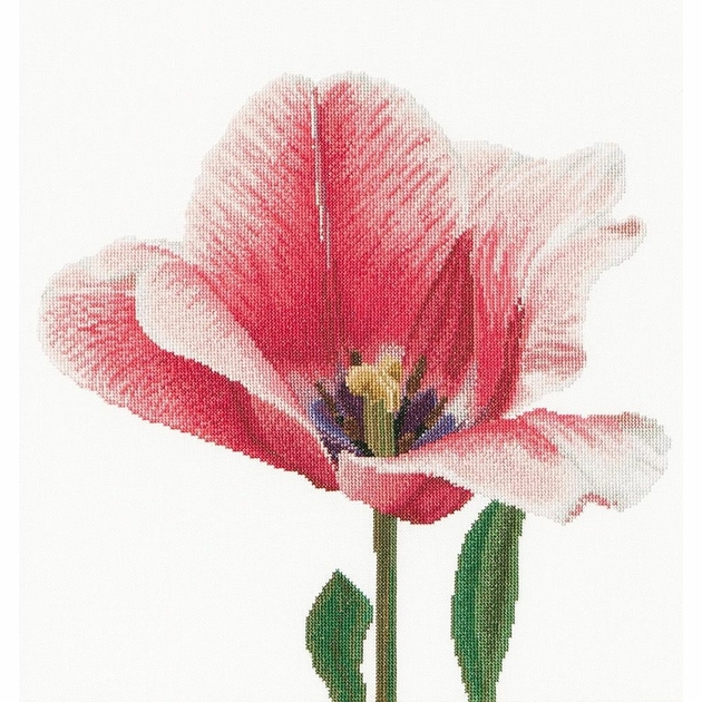 Tulipe - Lilipoint - Créations de broderie au point de croix, grilles