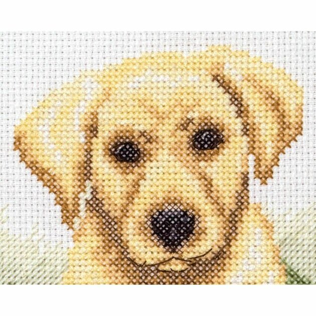 Wallphantom Kit Broderie Point De Croix 11CT - Chihuahua Chiot 40x50cm Toile Imprimée