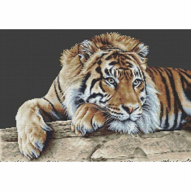 Kit Point De Croix Thea Gouverneur - Tigre 579A Sur Toile Aida - Animal
