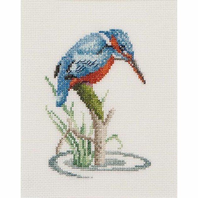 Kit Point De Croix Thea Gouverneur 'Histoire Des Insectes' - Toile Aida 16 Fils - Dimensions Finies 55x76 Cm - Pour Adultes
