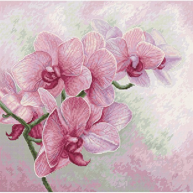 Luca-S B7009 Kit Broderie Point De Croix - Orchidées Gracieuses 25x25 Cm