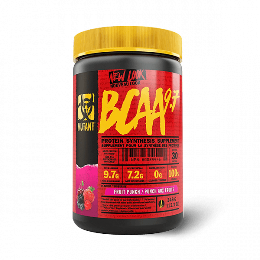 bcaa-97-348g