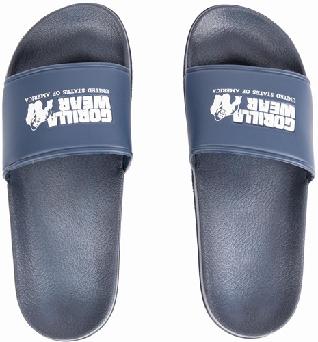 pasco-slides-navy