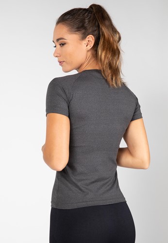 aspen-t-shirt-gray