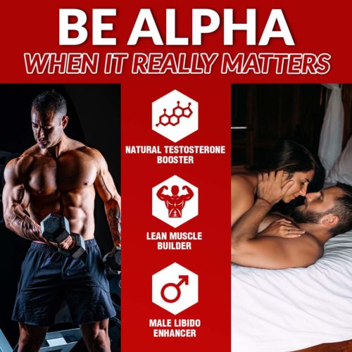 AlphaT_1080x1080_2.1-500x500