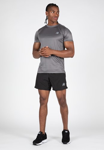 washington-t-shirt-gray (1)