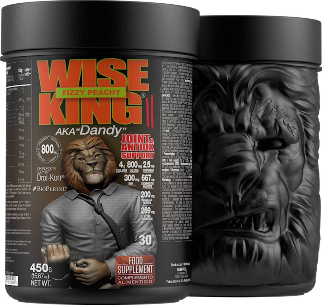 zoomad-wike-king-ii