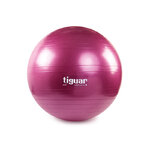 tiguar-safety-plus-sliwka-RGB-800px