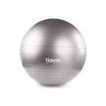 tiguar-safety-plus-szara-RGB-800px