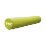tiguar-roller-oliwka-RGB-800px