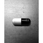 animal-energy_4_1