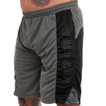 MESH-SHORTS-GREY (1)