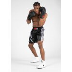 hornell-boxing-shorts-black-gray (1)