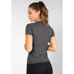 aspen-t-shirt-gray