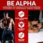 AlphaT_1080x1080_2.1-500x500