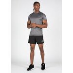 washington-t-shirt-gray (1)
