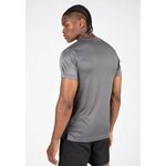 washington-t-shirt-gray