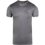 washington-t-shirt-gray (4)