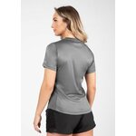 raleigh-t-shirt-gray