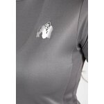 raleigh-t-shirt-gray (2)
