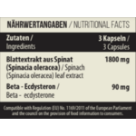 BETA-Ecdy