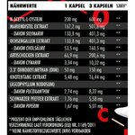 big-zone-hepa-detox-180-kapseln_2-e1662136856373